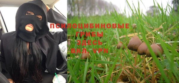 гашишное масло Краснослободск